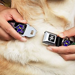 Buckle-Down Dancing Bear Polyester Dog Collar, Large Wide: 18 to 32-in neck, 1.5-in wide slide 2 of 9