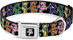 Buckle-Down Dancing Bear Polyester Dog Collar, Medium: 11 to 17-in neck, 1-in wide