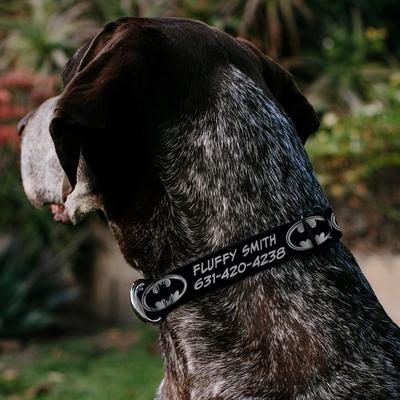 Show full view: Buckle-Down DC Comics Batman Shield Personalized Dog Collar, Large slide 3 of 8