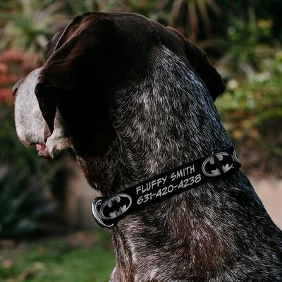 Show full view: Buckle-Down DC Comics Batman Shield Personalized Dog Collar, Small slide 4 of 9