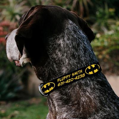 Show full view: Buckle-Down DC Comics Batman Shield Polyester Personalized Dog Collar, Medium slide 3 of 7