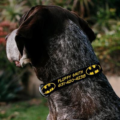Show full view: Buckle-Down DC Comics Batman Shield Polyester Personalized Dog Collar, Small slide 3 of 7