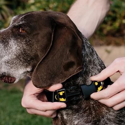 Show full view: Buckle-Down DC Comics Batman Shield Polyester Personalized Dog Collar, Small slide 4 of 7