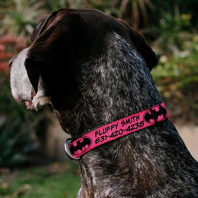 Show full view: Buckle-Down DC Comics Batman Signal Personalized Dog Collar, Fuchsia & Black, Medium slide 3 of 8