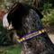 Show in main carousel: Buckle-Down DC Comics Batman Signal Personalized Dog Collar, Purple & Yellow, Small slide 3 of 8