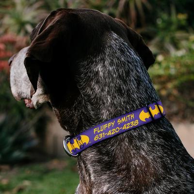 Show full view: Buckle-Down DC Comics Batman Signal Personalized Dog Collar, Purple & Yellow, Small slide 3 of 8