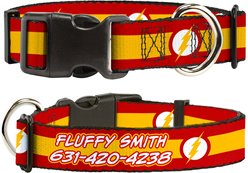 Buckle-Down DC Comics Flash Logo/Stripe Polyester Personalized Dog Collar, Large