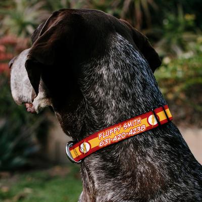 Show full view: Buckle-Down DC Comics Flash Logo/Stripe Polyester Personalized Dog Collar, Large slide 3 of 7
