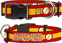 Buckle-Down DC Comics Flash Logo/Stripe Polyester Personalized Dog Collar, Medium