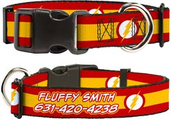 Buckle-Down DC Comics Flash Logo/Stripe Polyester Personalized Dog Collar, Small