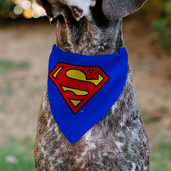 Buckle-Down DC Comics Superman Shield Logo Dog Bandana
