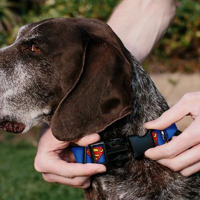 Show full view: Buckle-Down DC Comics Superman Shield Polyester Personalized Dog Collar, Medium slide 4 of 7