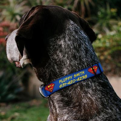 Show full view: Buckle-Down DC Comics Superman Shield Polyester Personalized Dog Collar, Small slide 3 of 7