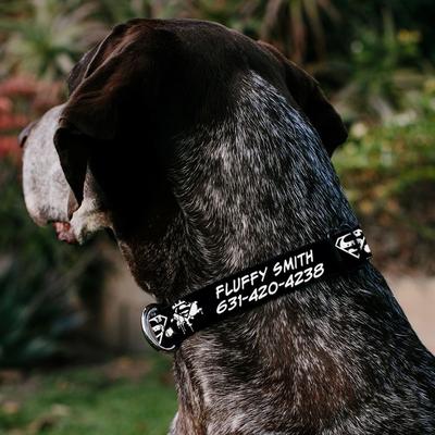Show full view: Buckle-Down DC Comics Superman Shield Splatter Personalized Dog Collar, Medium slide 3 of 8