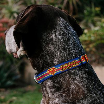 Show full view: Buckle-Down DC Comics Superman Shield Stripe Personalized Dog Collar, Large slide 3 of 7