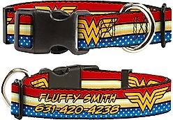 Buckle-Down DC Comics Wonder Woman Polyester Personalized Dog Collar, Small