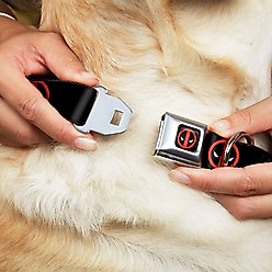 Buckle-Down Deadpool Logo Dog Collar, Medium slide 2 of 9