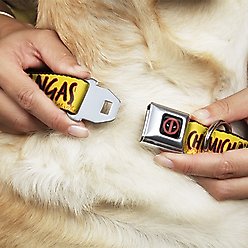 Buckle-Down Deadpool's Chimichanga Flames Polyester Dog Collar, Large Wide: 20 to 31-in neck, 1.5-in wide slide 2 of 9