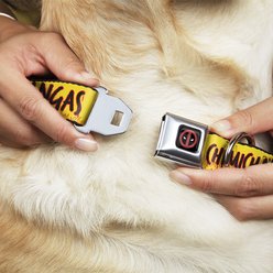 Buckle-Down Deadpool's Chimichanga Flames Polyester Dog Collar, Medium: 11 to 16.5-in neck, 1-in wide slide 2 of 9