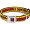 Show in main carousel: Buckle-Down Deadpool's Chimichanga Flames Polyester Dog Collar, Small Wide: 13 to 17-in neck, 1.5-in wide slide 1 of 9