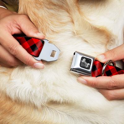 Show full view: Buckle-Down Diagonal Buffalo Plaid Dog Collar, Medium slide 3 of 11