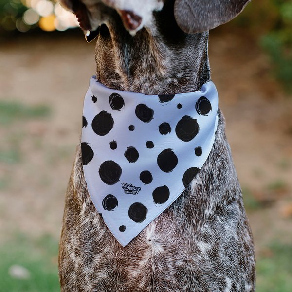 Buckle-Down Dalmatians Dog Collar