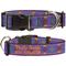 Show in main carousel: Buckle-Down Disney Aladdin Magic Carpet Tapestry Personalized Dog Collar, Large slide 1 of 8