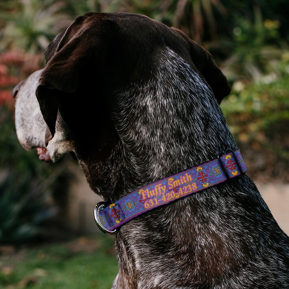 Buckle-Down Disney Aladdin Magic Carpet Tapestry Personalized Dog Collar