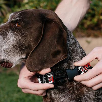 Show full view: Buckle-Down Disney Classic Mickey Mouse 1928 Collage Polyester Personalized Dog Collar, Medium slide 4 of 7