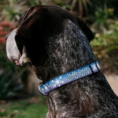 Show full view: Buckle-Down Disney Frozen II Snowflakes Polyester Personalized Dog Collar, Large slide 3 of 7