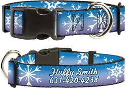 Buckle-Down Disney Frozen II Snowflakes Polyester Personalized Dog Collar, Medium