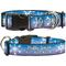 Show in main carousel: Buckle-Down Disney Frozen II Snowflakes Polyester Personalized Dog Collar, Small slide 1 of 7