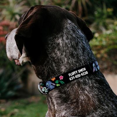 Show full view: Buckle-Down Disney Lilo & Stitch Ohana Means Family Personalized Dog Collar, Large slide 3 of 7