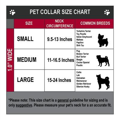 Show full view: Buckle-Down Disney Lion King Hakuna Matata Personalized Dog Collar, Large slide 2 of 2