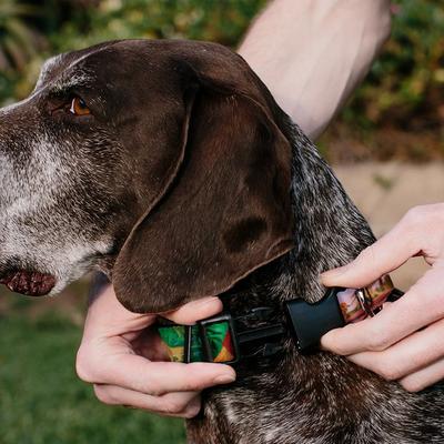 Show full view: Buckle-Down Disney Lion King Simba & Nala Growing Up Scenes Personalized Dog Collar, Large slide 4 of 7