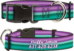Buckle-Down Disney Little Mermaid Stripe & Shell Polyester Personalized Dog Collar, Large