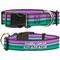 Show in main carousel: Buckle-Down Disney Little Mermaid Stripe & Shell Polyester Personalized Dog Collar, Large slide 1 of 7