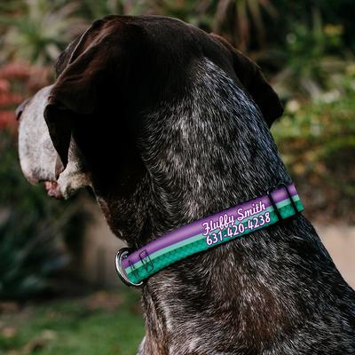 Show full view: Buckle-Down Disney Little Mermaid Stripe & Shell Polyester Personalized Dog Collar, Large slide 3 of 7