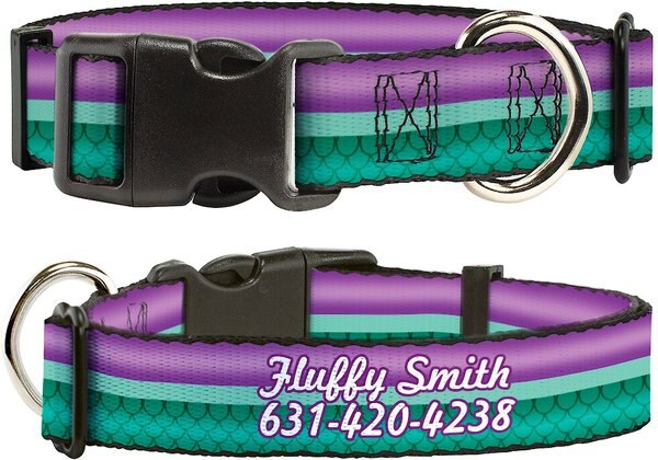 Buckle-Down Disney Little Mermaid Stripe & Shell Polyester Personalized Dog Collar