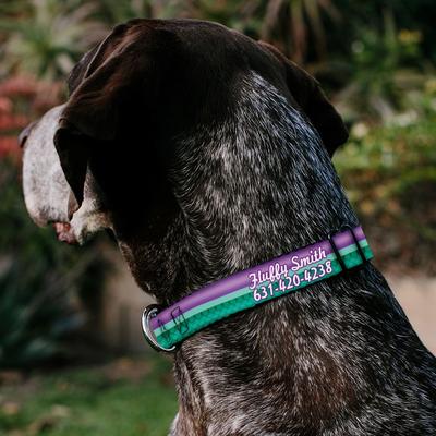 Show full view: Buckle-Down Disney Little Mermaid Stripe & Shell Polyester Personalized Dog Collar, Small slide 3 of 7