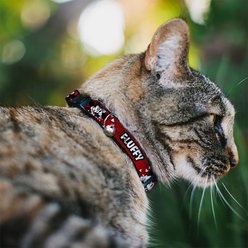 Buckle-Down Disney Mickey & Minnie Hugs & Kisses Poses Personalized Breakaway Cat Collar with Bell slide 2 of 3