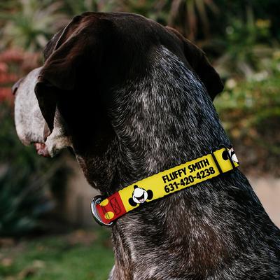 Show full view: Buckle-Down Disney Mickey Smiling Up Pose Personalized Dog Collar, Large slide 4 of 8