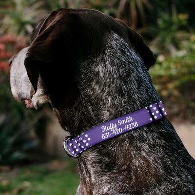 Show full view: Buckle-Down Disney Minnie Mouse Ears Personalized Dog Collar, Large slide 4 of 9