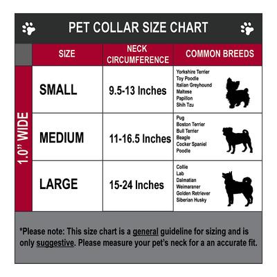 Show full view: Buckle-Down Disney Minnie Mouse Expressions Polka Dot Personalized Dog Collar, Medium slide 6 of 9