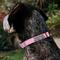 Show in main carousel: Buckle-Down Disney Minnie Mouse Expressions Polka Dot Personalized Dog Collar, Small slide 3 of 8