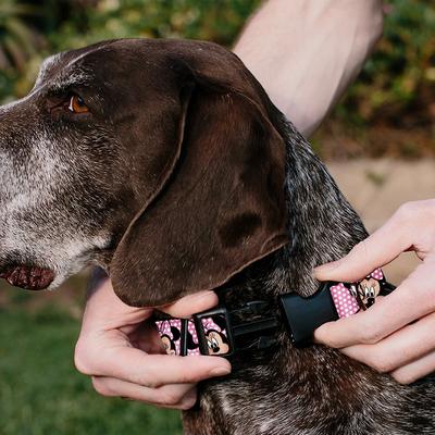Show full view: Buckle-Down Disney Minnie Mouse Expressions Polka Dot Personalized Dog Collar, Small slide 4 of 8