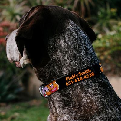 Show full view: Buckle-Down Disney Muppets Faces Close-Up Personalized Dog Collar, Medium slide 3 of 8