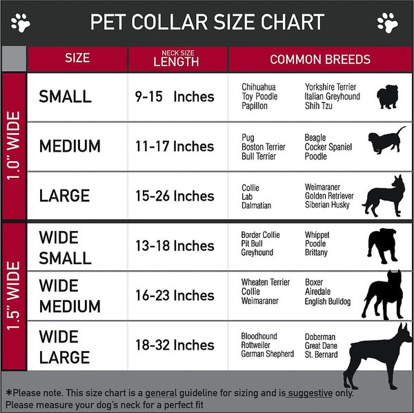 Buckle-Down Disney Pixar Polyester Dog Collar