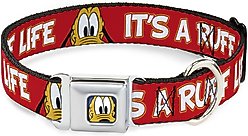Buckle-Down Disney Pluto 2 Pose Its A Ruff Life Metal Seatbelt Buckle Polyster Dog Collar, Red, Medium: 16 to 23-in neck, 1.5-in wide