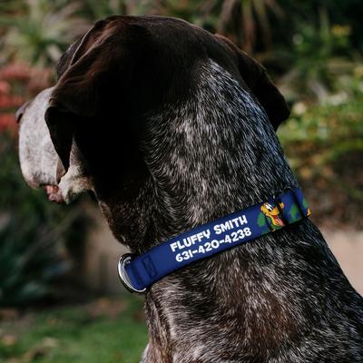 Show full view: Buckle-Down Disney Pluto 4-Poses/Landscape Personalized Dog Collar, Small slide 3 of 7